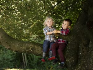 boys up in a tree by Winchester family photographer